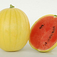 Арбуз  Подарок солнца